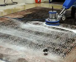 Professional rug cleaning with a rotary floor machine and shampoo foam, deep-cleaning an area rug, in Pueblo, CO.