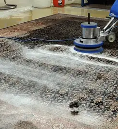 Professional rug cleaning with a rotary floor machine and shampoo foam, deep-cleaning an area rug Pueblo, CO.